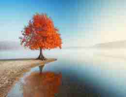 快‍速‌排‍序‌法​的​基‌本‌思‍路﻿